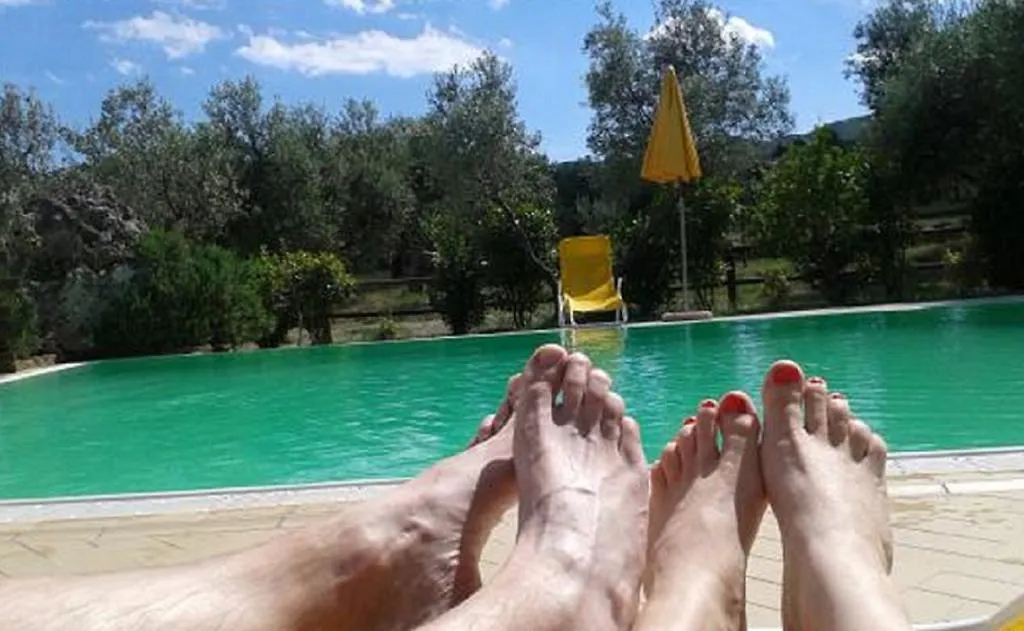 Agriturismo Signorini Villa Orciatico Farm stay