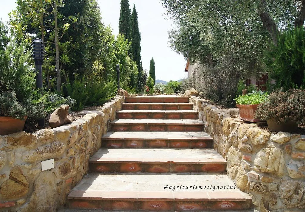 Farm stay Agriturismo Signorini Villa Orciatico