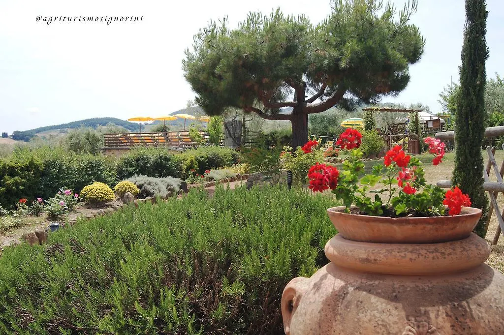 Farm stay Agriturismo Signorini Villa Orciatico