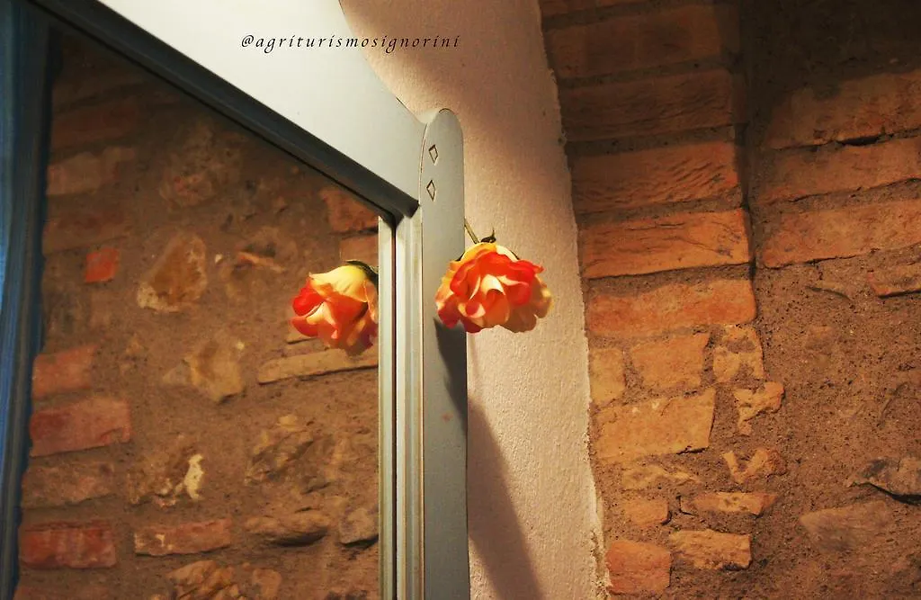 Agriturismo Signorini Orciatico Agroturismo