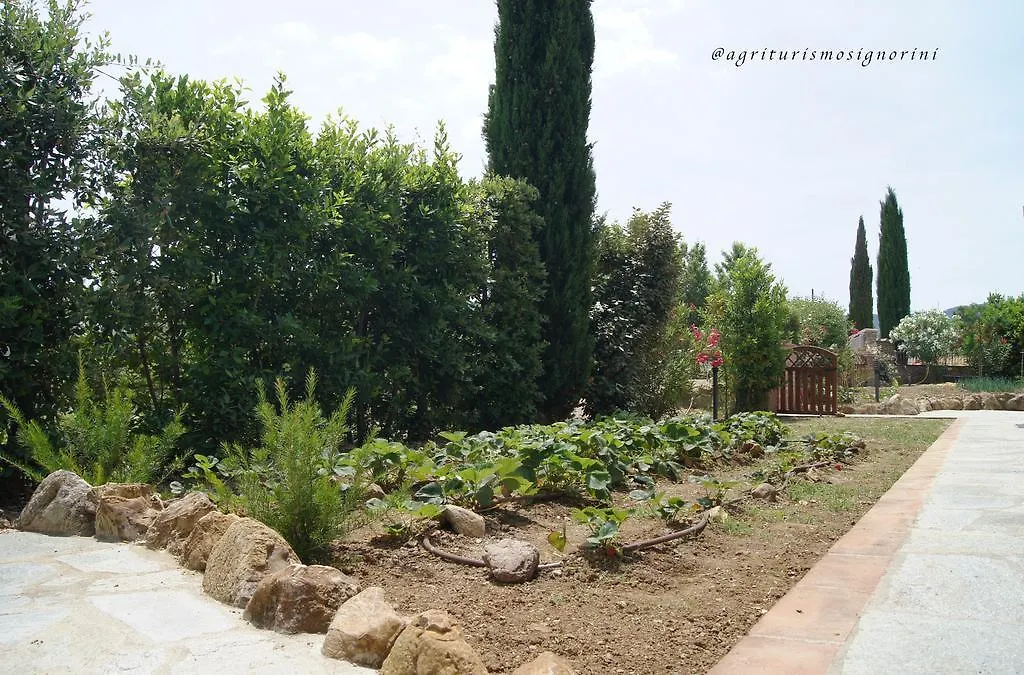 Agriturismo Signorini Orciatico 0*,  Italia