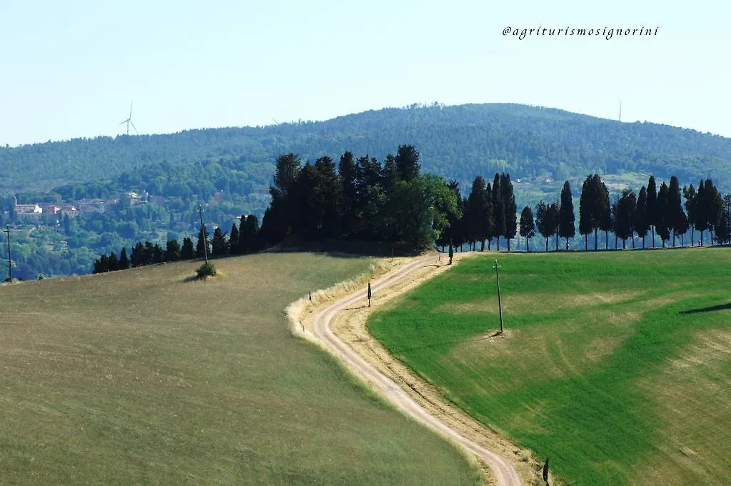 Agriturismo Signorini Orciatico